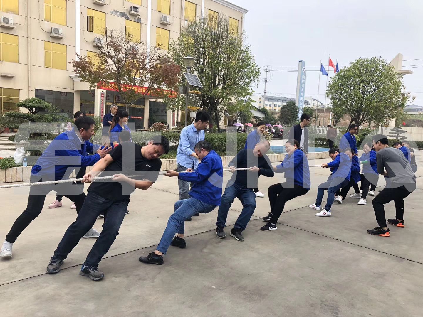 company culture(图1)